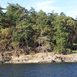 Jones Island DSC00956
