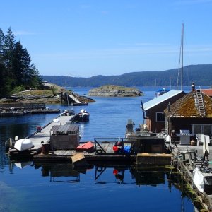Media '2017 Desolation P6280275 - Refuge Cove' in album 'Montague BC DSC00885'