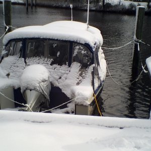 Covered in snow at Pt. Marina(14FEB10)