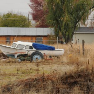 Media 'Mystery Boat and Ford tractor' in album 'Constant Craving and Old Yeller'