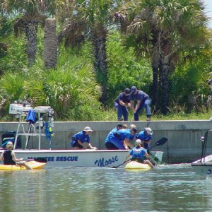Manatee Rescue