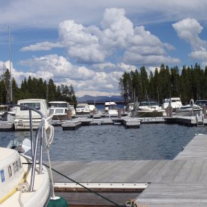 Media 'P8110027' in album 'Yellowstone Lake 2009-Bay Bridge Marina'