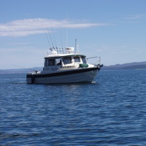 Media 'P8110022' in album 'Yellowstone Lake 2009-Bay Bridge Marina'
