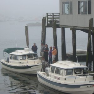 Enjoying the fine weather of coastal Maine