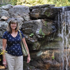 Garvan Gardens has lots of "water features".