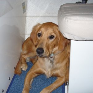 Maggie tired of having to move when we wanted access to the cupboard, or head.  So, she staked out some new territory.