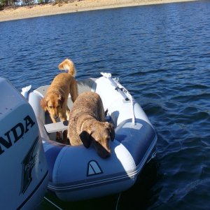 Time to go to shore, yet???