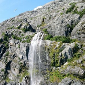 Media '(AnchortownJim) Waterfall, Blackstone Bay, PWS, 7/31/04' in album '(AnchortownJim) Happy Skipper, Nice Day, Blackstone Bay PWS, 7/31/04'