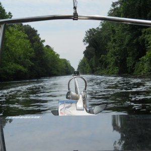 View from the Munchkin in the Dismal Swamp