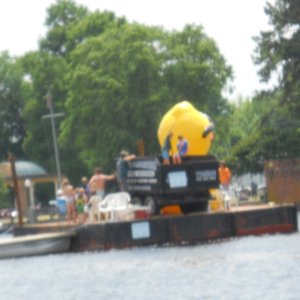 Welcome to the Elizebeth City Potato Festival