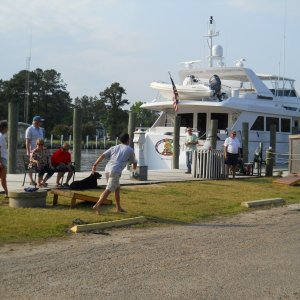 cornhole in front of the 100 ft Lukasauros which took on 1500 gals, of diesel fuel. None of the CDorys took on quite that much