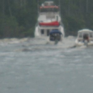 I was in awe when Osprey crossed the wake of Pixie Dust here