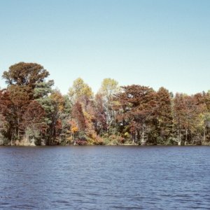 Fall in VA on the ICW 1988