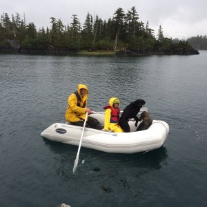 IMG 0075
