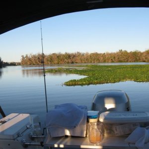 Anchorage for the night at the mouth of Cross Creek of Marjorie Kennan Rawlings fame