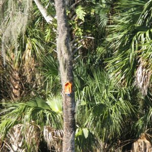 Birdhouses on Blue Creek