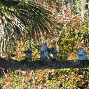 More Birdhouses