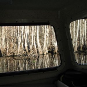 Cypress swamp surrounds the Ocklawaha
