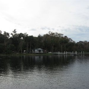Salt Springs Marina and Launch