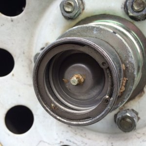 Bearing Buddy