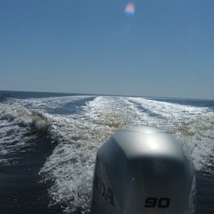 Plying a very peaceful Neuse River (20FEB10