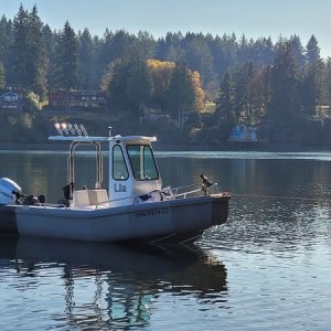 Off Eagle island in the south sound