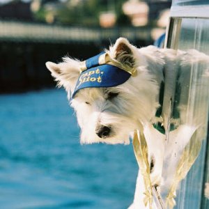 Captain Elliot