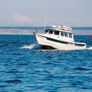 533563-R1-22.jpg