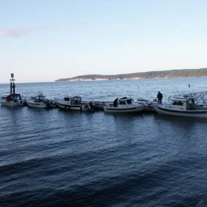 sequim2002-1.JPG