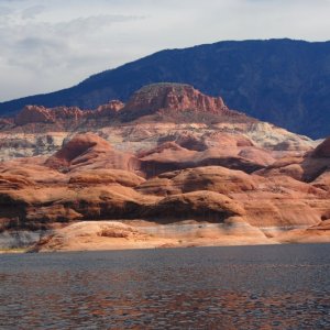 DSC 3487