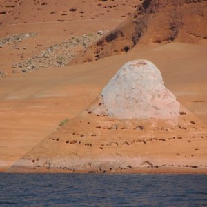 DSC 3573