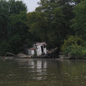Media '(Levity) Susquehanna Victim' in album 'Canvas work complete'