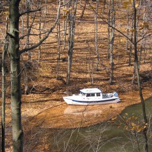 Media '(Levity) Leafy Berth' in album 'Canvas work complete'