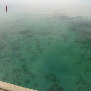 That's about 6 feet deep there.
