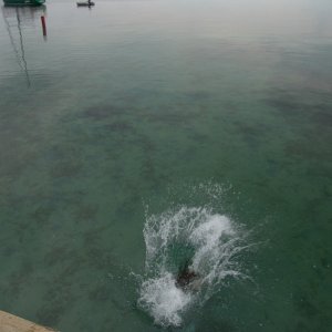 This water is colder than it looks.