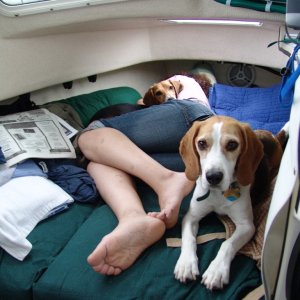 Media 'Naptime.' in album 'Cruising at top speed.'