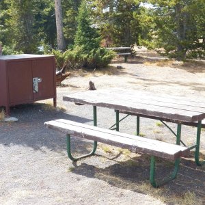 Media 'Picnic table and bear safe.' in album 'The drive through Jackson Hole.'