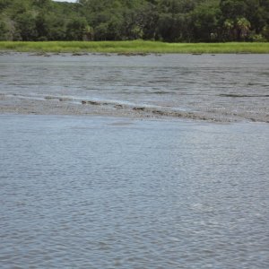 Media 'Mud river in GA. Holding my breath. I am in the center of the channel.' in album 'We have a name & some diy window tint ( helps with the heat)'
