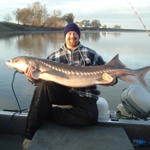 Media '70 incher 85 lbs' in album 'Sturgeon 07''
