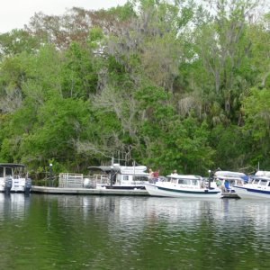 Media 'our group takes over the docks' in album 'Jt John river to Ponce de Leon park'