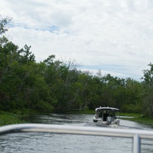 Media 'creek exploration' in album 'Jt John river to Ponce de Leon park'