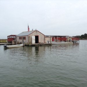 Media 'Crab shack, Smith island' in album 'Guess what followed me home today!'