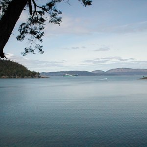 (C-Sick) Suffering in the San Juans