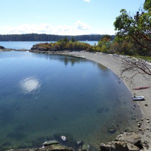 Ewing Cove from above, looking over towards Echo Bay.