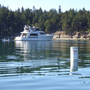 Media 'Big yacht with bikini-clad babes, anchored well inside in the No-Anchor eelgrass recovery zone!' in album 'Leaving Edmonds for the long cruise North to Sucia at 7 AM on Saturday.'