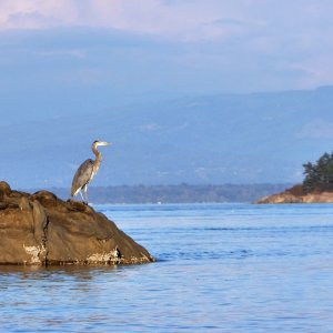 At the entrance to Fossil Bay