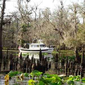 This away anchored in Deep Creek Swamp