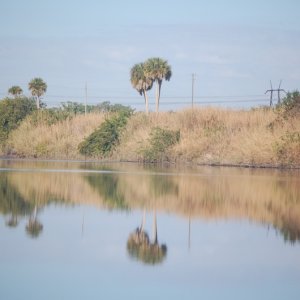 Levy along Big O Canal