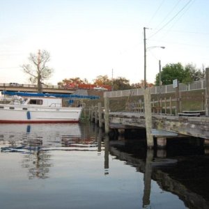 Media 'LaBelle Free Dock' in album 'This guy came to visit at Indiantown Marina there was an 8' alligator laying on the back about 75' away. Apparently they don't like manatee'