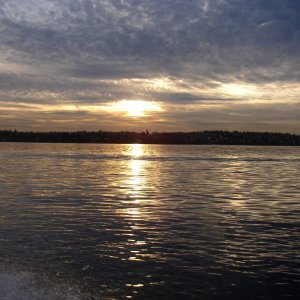 Media '(Opsal)' in album '(Opsal)'